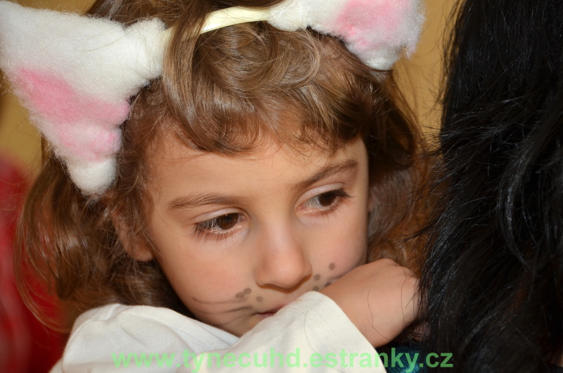 Maškarní karneval Týnec 2012 - 181