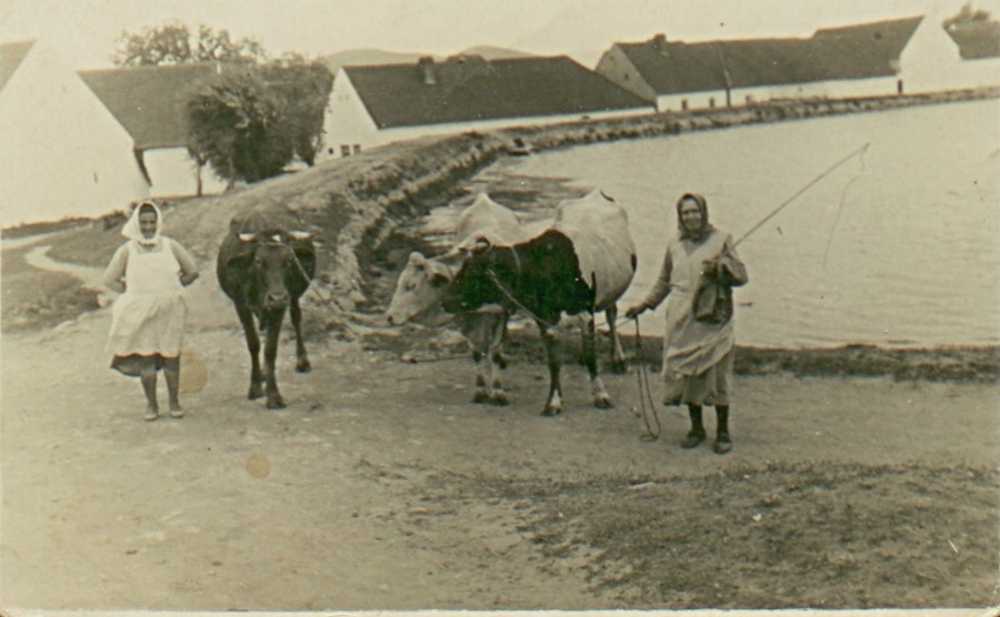 H 1 Hráz Pastušky (Hořejšáku).jpg